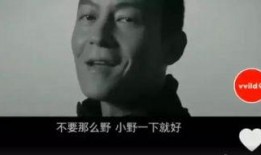 罗永浩爆料片段视频,揭秘科技圈幕后故事